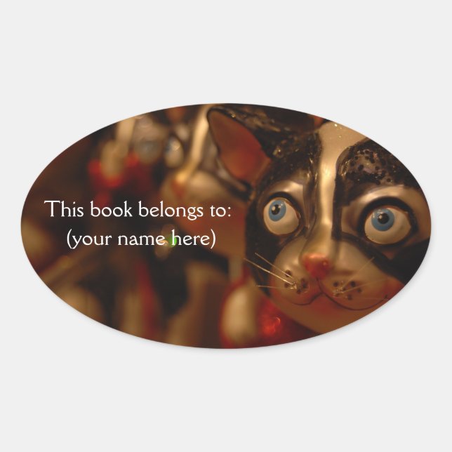 Sticker Ovale Plaque de chat Derp, ronde (Devant)