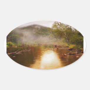 Sticker Ovale Pluie dans la forêt