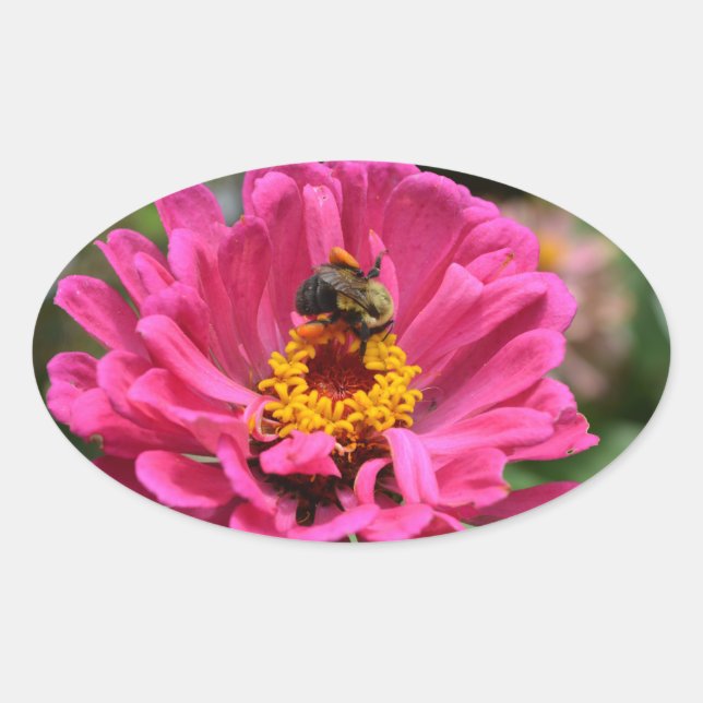 Sticker Ovale Plutôt rose floral rose Zinnia Bumble bee (Devant)