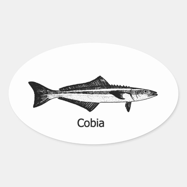 Sticker Ovale Poisson Cobia (Devant)