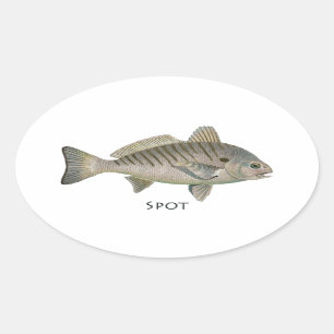 Sticker Ovale Poisson ponctuel