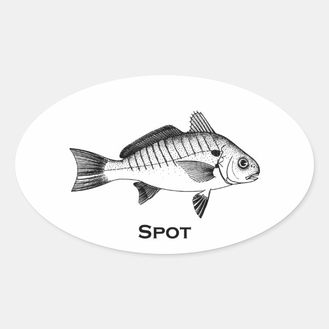 Sticker Ovale Poisson ponctuel (titre) (Devant)
