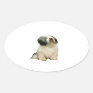 Sticker Ovale Polski Owczarek Nizinny (PON) - A
