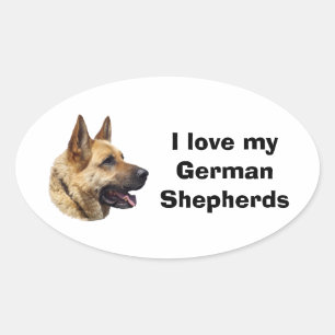 Sticker Ovale Portrait de chien berger allemand alsacien