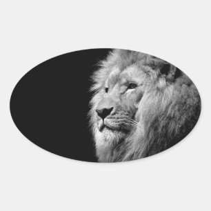 Sticker Ovale Portrait de Lion noir blanc - Photographie d'anima
