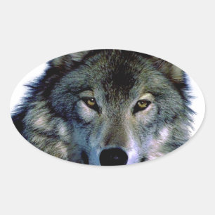 Sticker Ovale Portrait Wolf