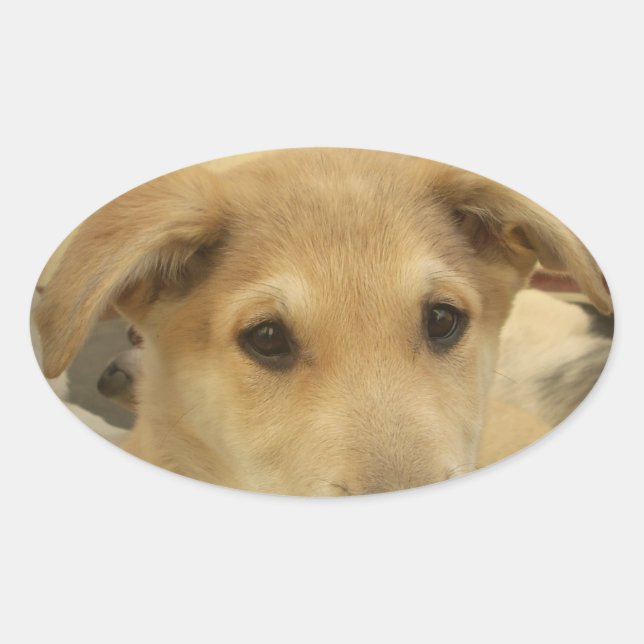 Sticker Ovale Puppy Love : Le meilleur ami de l'homme (Devant)