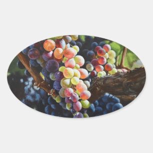 Sticker Ovale Raisins d'abondance pour les amateurs de vin et le