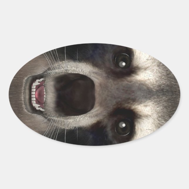 Sticker Ovale Raton laveur (Devant)