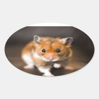 Sticker Ovale Ratty le hamster