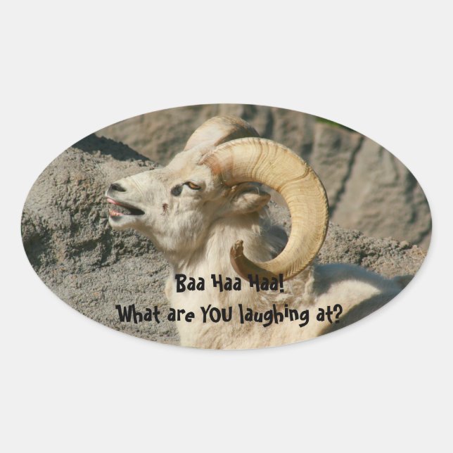 Sticker Ovale Rire Rocheuse Bighorn Sheep (Devant)