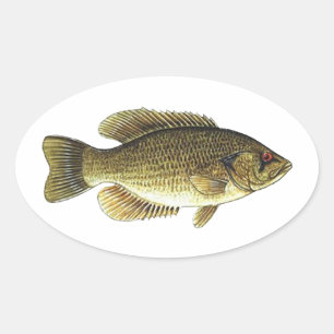 Sticker Ovale Rock Bass - Red Eye