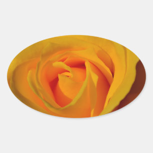 Sticker Ovale Rose jaune, fleur jaune