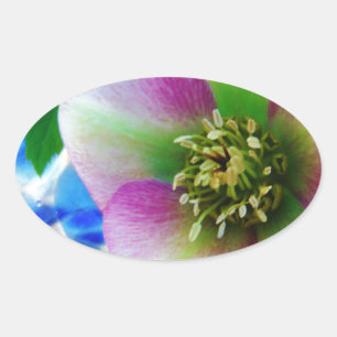 Sticker Ovale Rose rose carême bleu boule de verre
