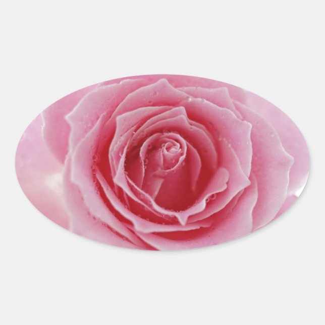 Sticker Ovale Rose rose rose (Devant)