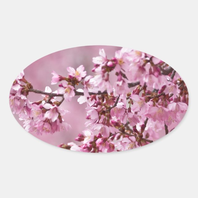 Sticker Ovale Sakura Cherry Blossoms Pastel Pink Layers (Devant)