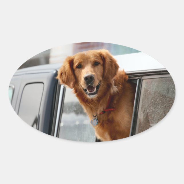 Sticker Ovale Salut (Devant)