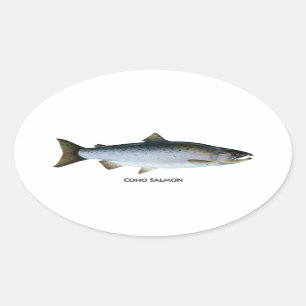 Sticker Ovale Saumon de Coho