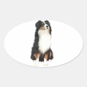 Sticker Ovale SHEPHERD AUSTRALIEN (A) - Tri Color