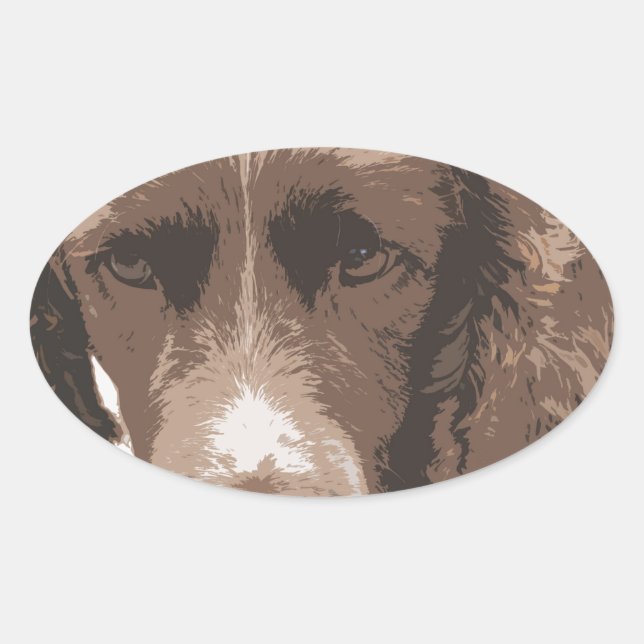 Sticker Ovale Springer anglais (Devant)