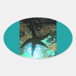 Sticker Ovale Starfish CB