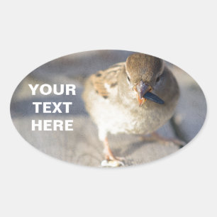 Sticker Ovale Survie De La Fittest