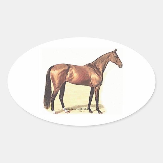 Sticker Ovale Thoroughbred (Devant)