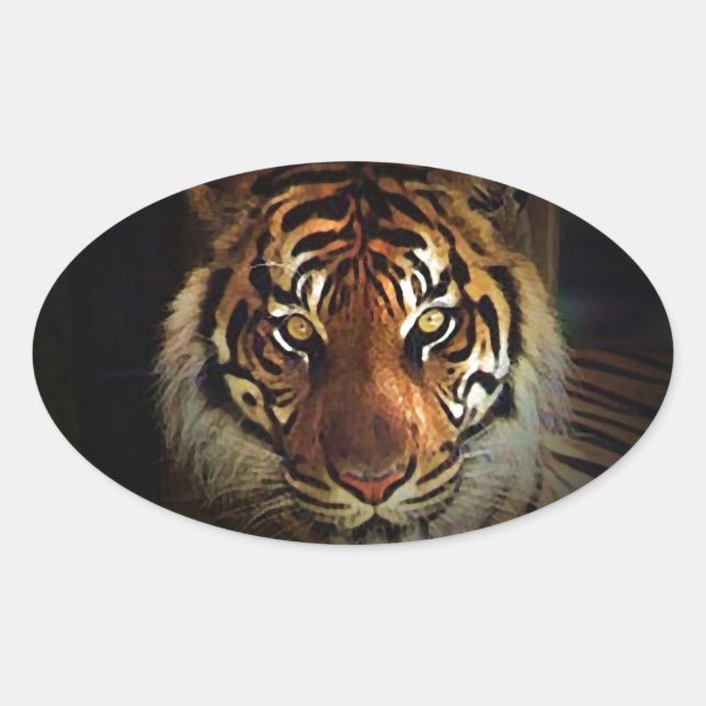 Sticker Ovale Tigre (Devant)