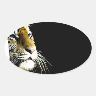 Sticker Ovale Tigre