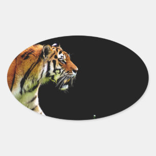 Sticker Ovale Tigre approchant - Oeuvres d'art d'animaux sauvage