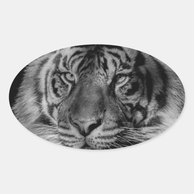 Sticker Ovale Tigre noir et blanc (Devant)