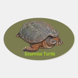 Sticker Ovale Tortue serpentine Terrapin-lover Cadeau