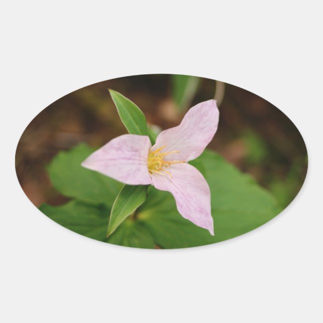 Sticker Ovale Trillium Flower (Devant)