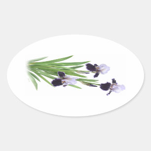 Sticker Ovale Trio d'Iris