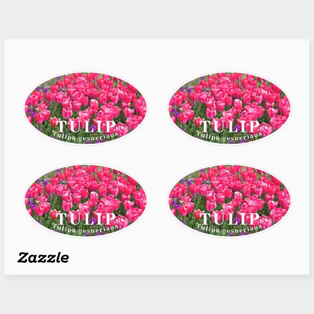 Sticker Ovale Tulip (Feuille)