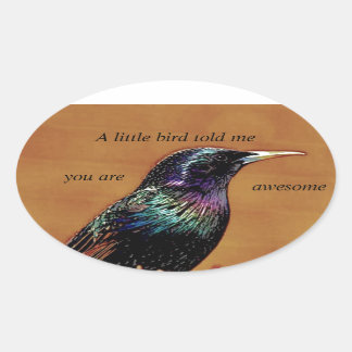 Sticker Ovale Un Petit Oiseau M'A Raconté La Photo D'Oiseau De S
