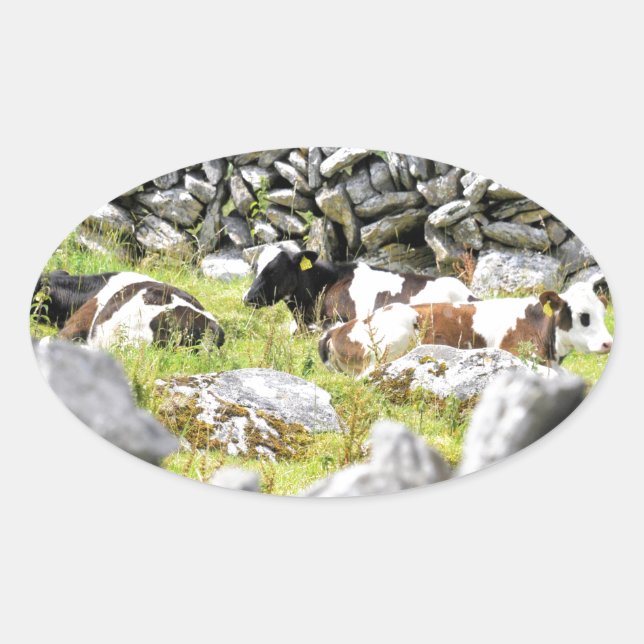 Sticker Ovale Vaches Moo (Devant)
