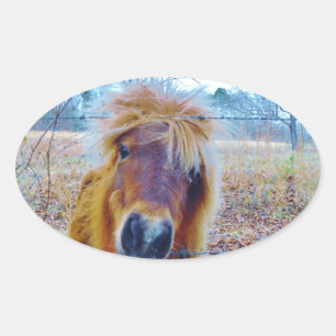 Sticker Ovale Valentine Heart Horse