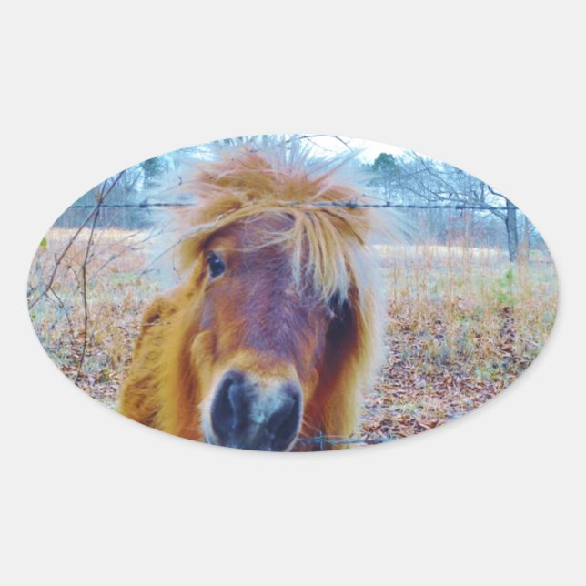 Sticker Ovale Valentine Heart Horse (Devant)