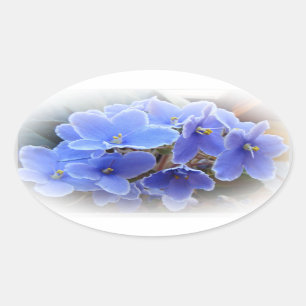 Sticker Ovale Violettes africaines bleues