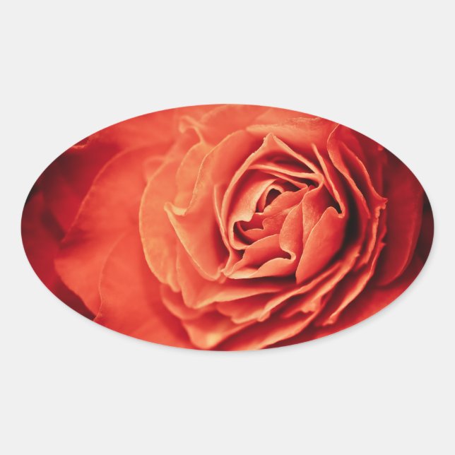 Sticker Ovale vivant rose (Devant)