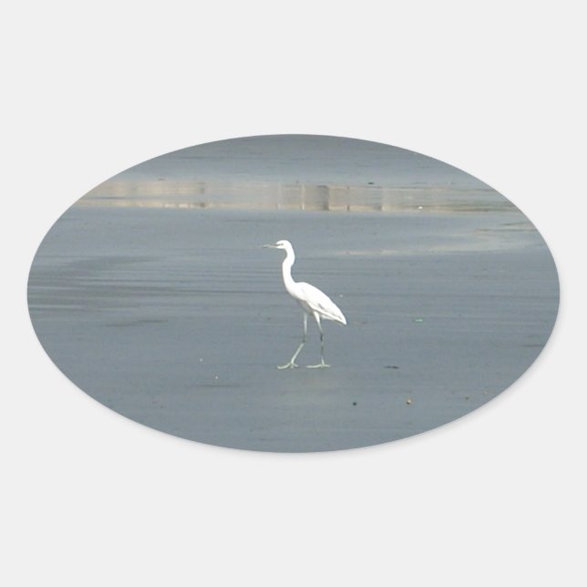 Sticker Ovale White Bird on Grey Sand Beach Art Imprimer (Devant)
