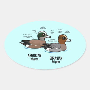 Sticker Ovale Wigeon contre Wigeon