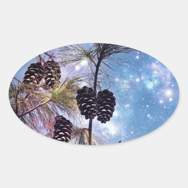 Sticker Ovale Winter Pine Cones (Devant)