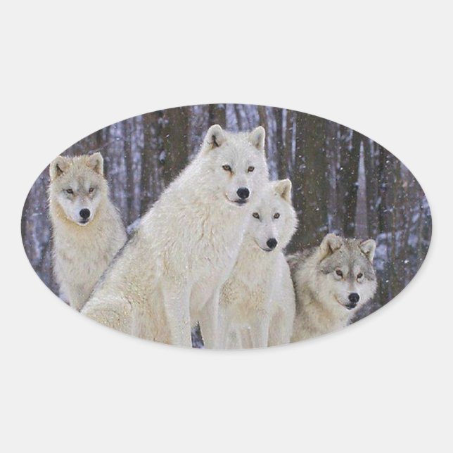 Sticker Ovale Wolf Family (Devant)