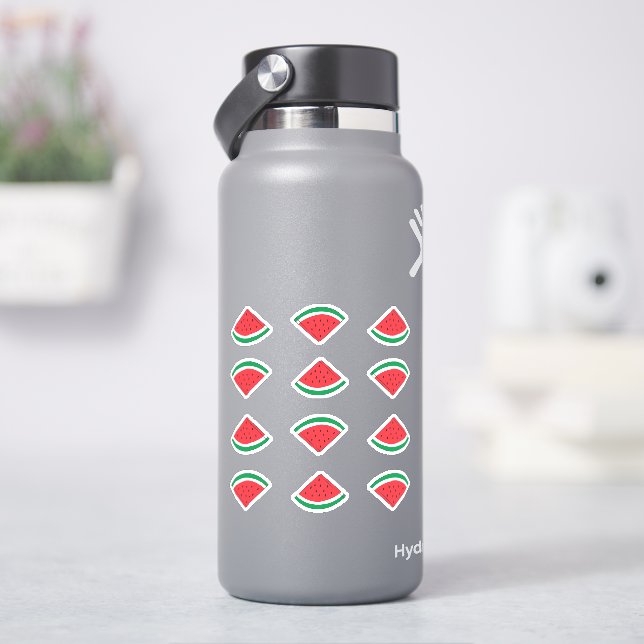 Sticker Pack d'autocollants en forme de quartier de pastèq (HydroFlask)