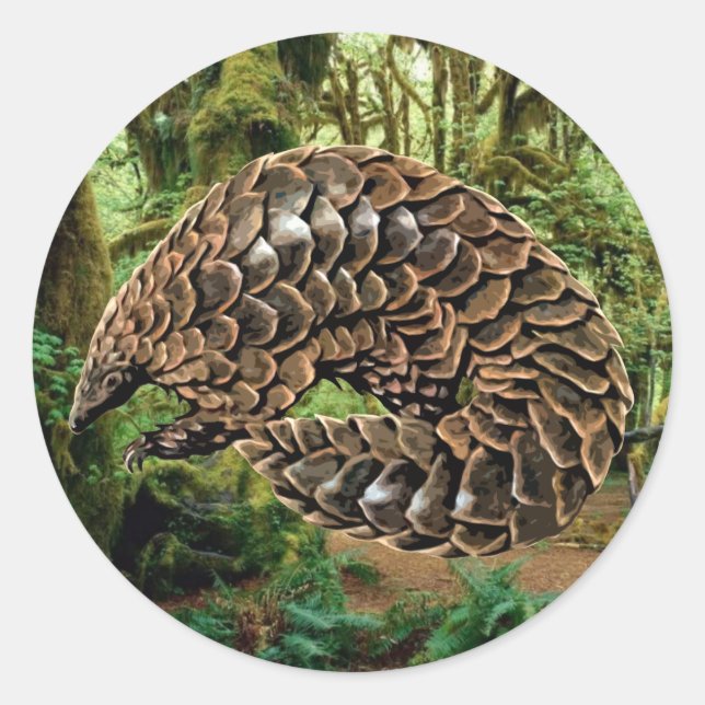 Sticker Pangolin (Devant)