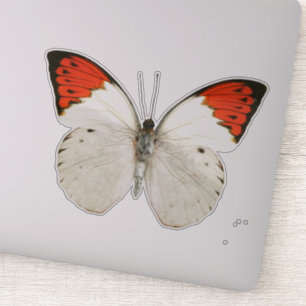 Sticker Papillon blanc et rouge