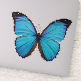 Sticker Papillon bleu 1