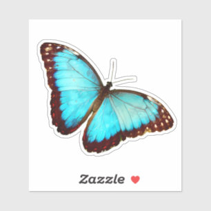 Sticker Papillon bleu Morpho
